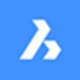 Bricsys BricsCAD Platinumv19.2.14.1